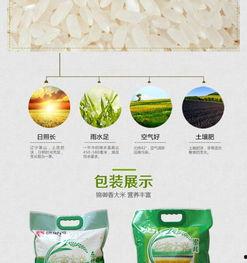 绿色大米爆料方法视频教程,轻松掌握视频爆料技巧 第2张 绿色大米爆料方法视频教程,轻松掌握视频爆料技巧 第2张