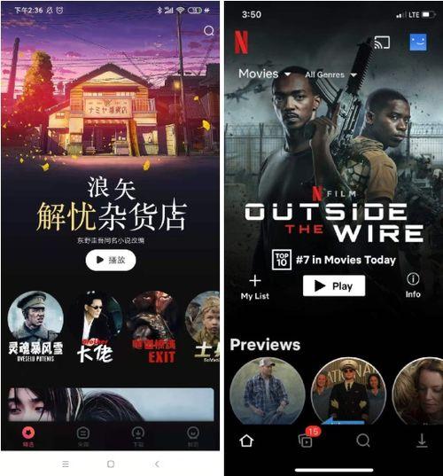 重庆都市新闻爆料视频,揭秘最新爆料视频背后的故事  第1张